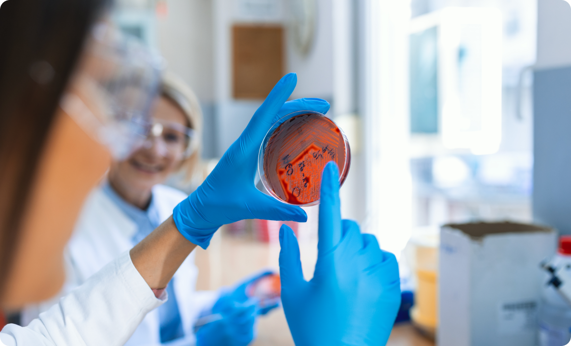 scientist-holding-petri-dish-with-bacterial-clones-female-lab-technician-working-with-strains-bacteria-grown-petri-dishes-2 PÓS-GRADUAÇÃO